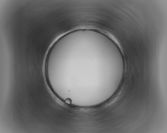 X0000111800803200907230954