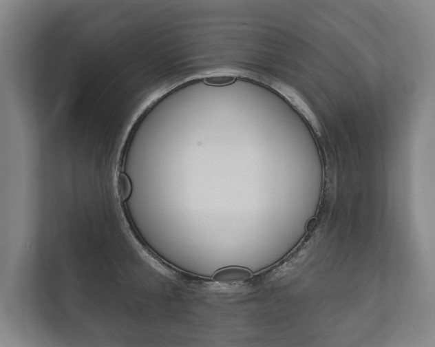 X0000111800805200907230954