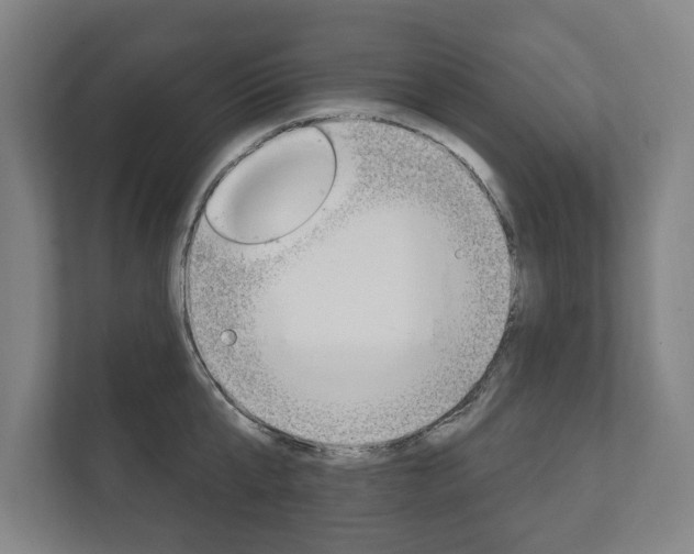 X0000111800807200907230954