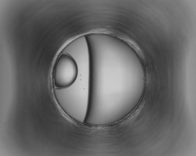 X0000111800808200907230954