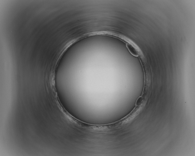 X0000111800809200907230954