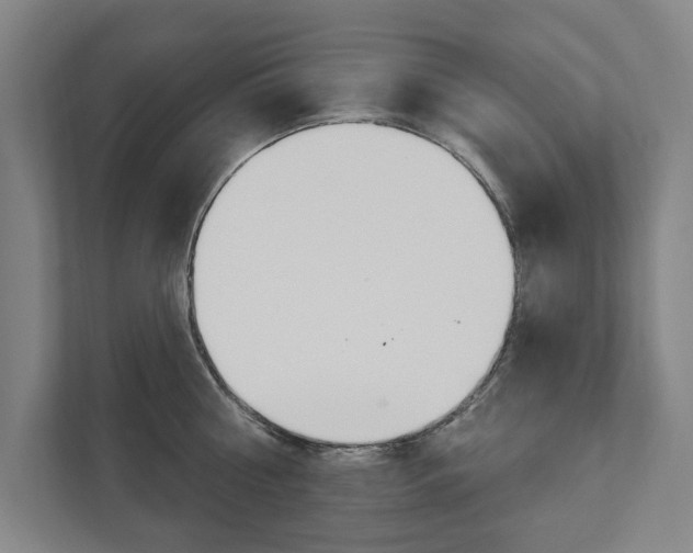 X0000111800810200907230954