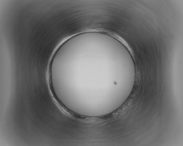 X0000111800811200907230954