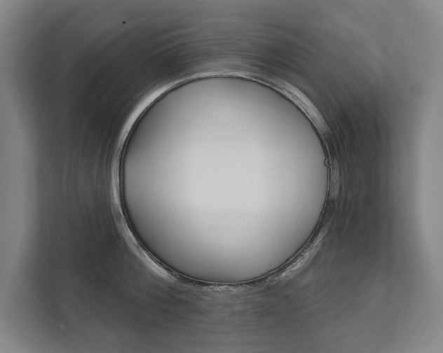 X0000111800812200907230954