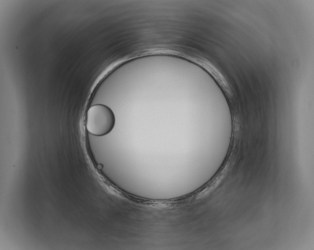 X0000111800814200907230954