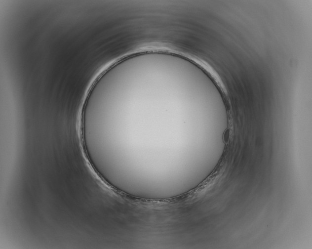 X0000111800815200907230954