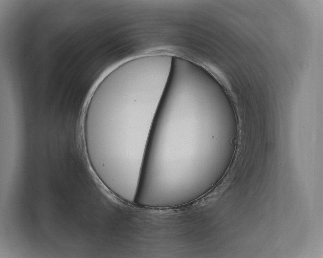 X0000111800816200907230954