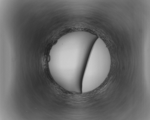 X0000111800818200907230953