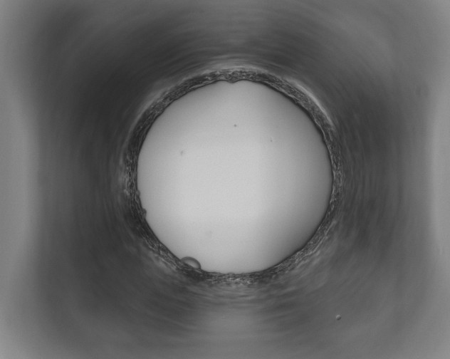 X0000111800823200907230953
