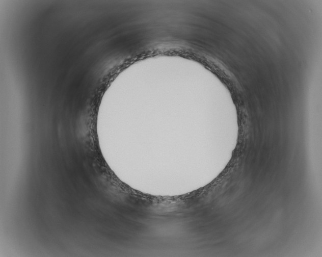 X0000111800824200907230953