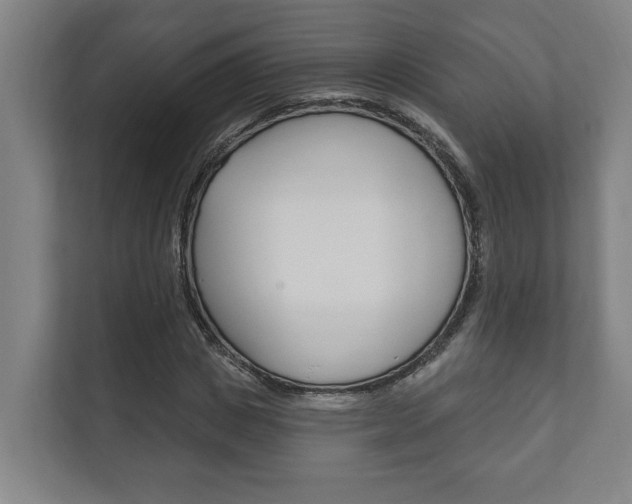 X0000111800825200907230953