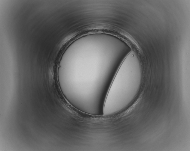 X0000111800826200907230953