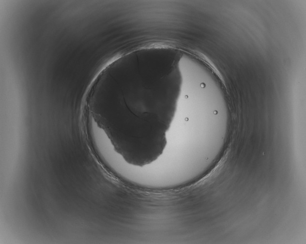 X0000111800827200907230953