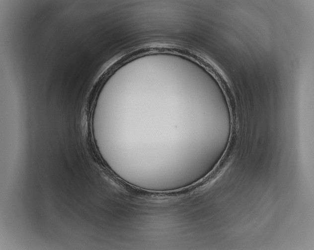 X0000111800829200907230953
