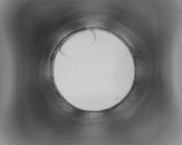 X0000111800832200907230953