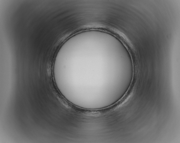 X0000111800833200907230953