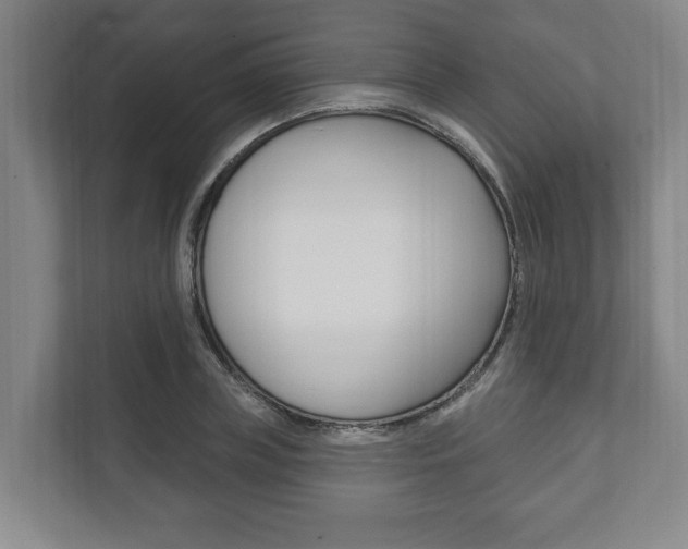 X0000111800835200907230953