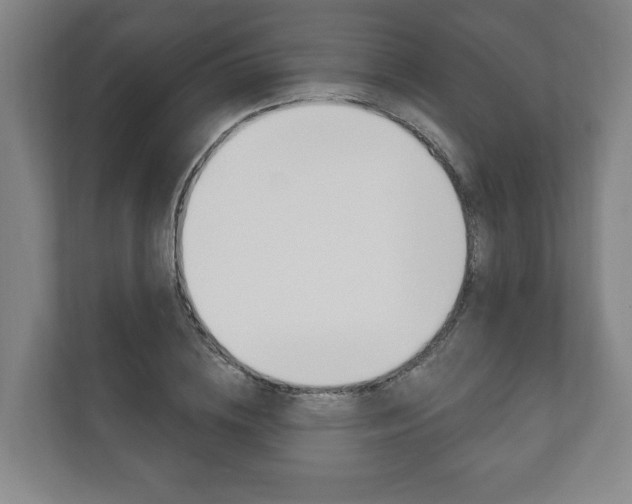 X0000111800836200907230953