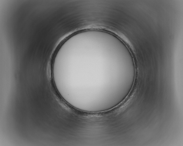 X0000111800838200907230953