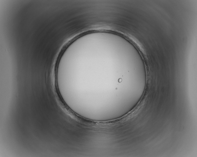 X0000111800840200907230953