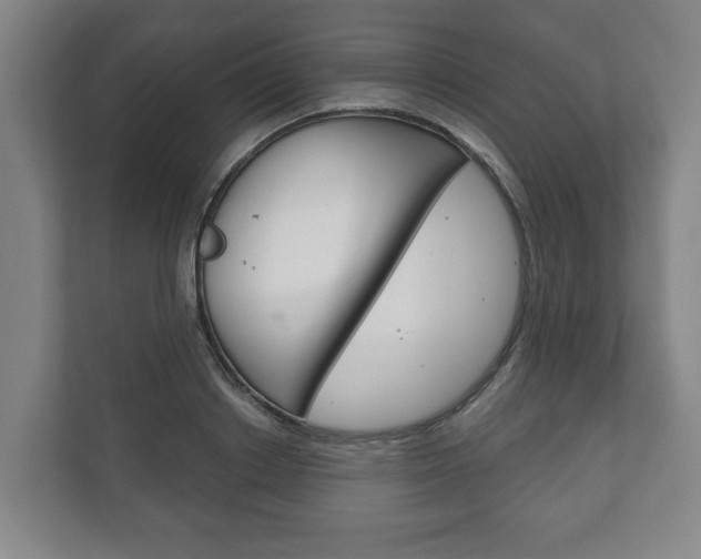 X0000111800842200907230953