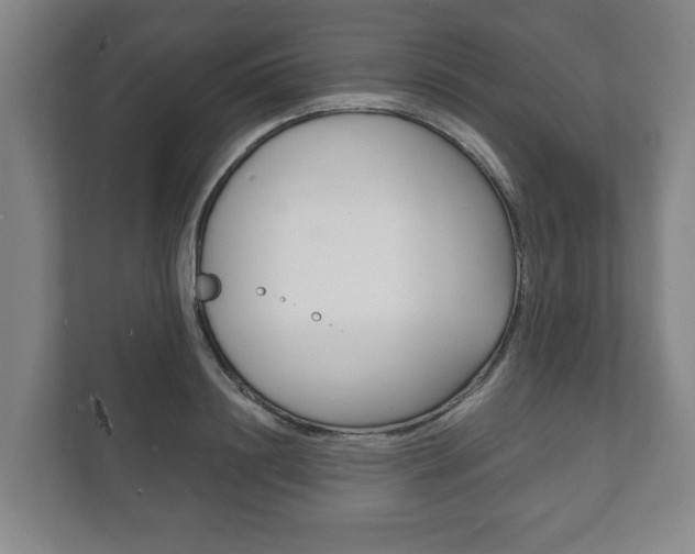 X0000111800844200907230953
