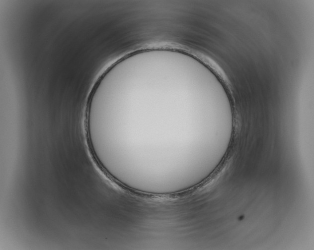 X0000111800847200907230953