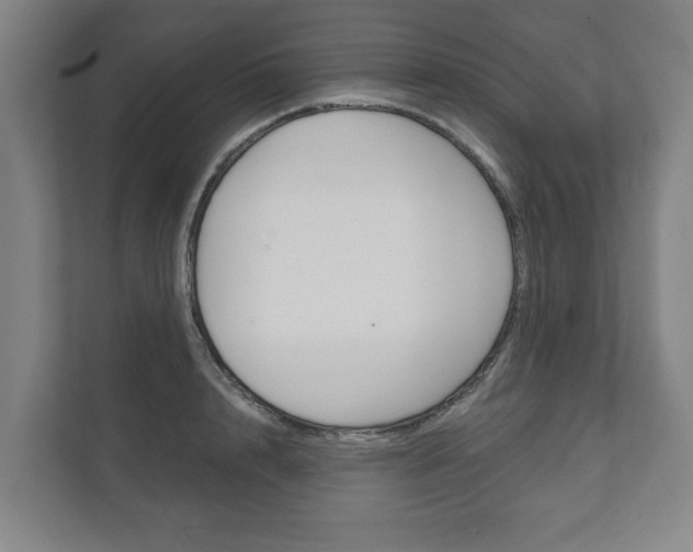 X0000111800848200907230953