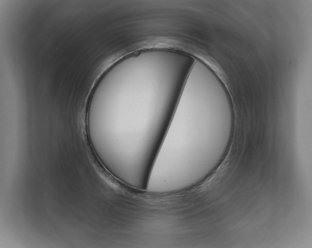 X0000111800850200907230953