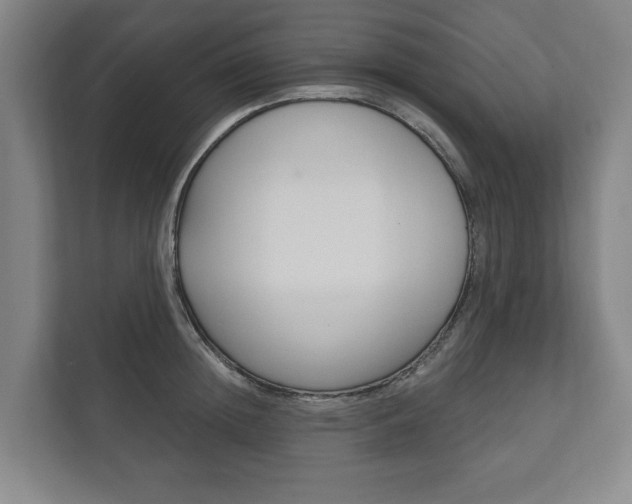 X0000111800852200907230954