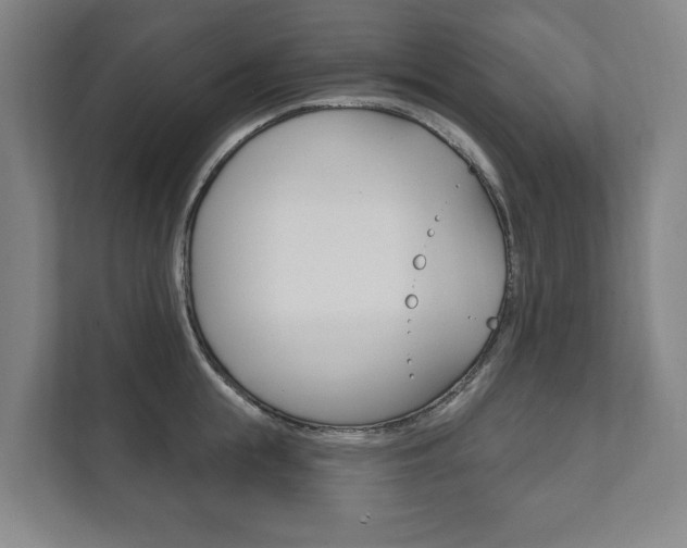 X0000111800855200907230954