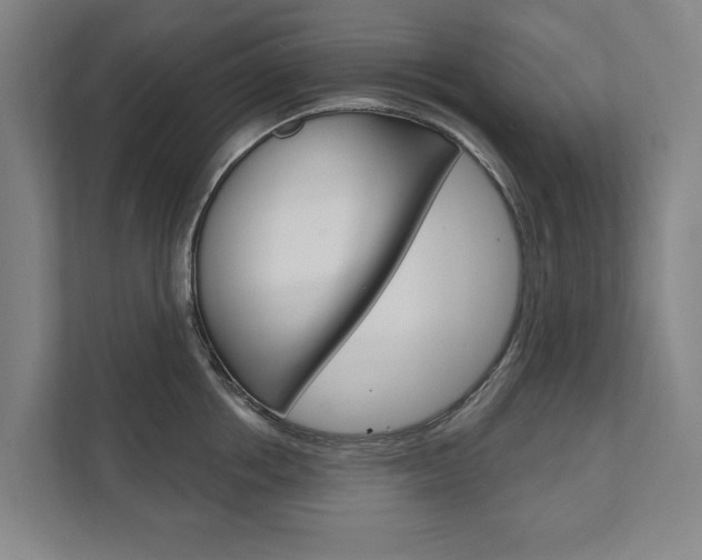 X0000111800858200907230954