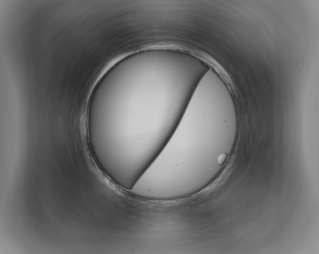X0000111800860200907230954