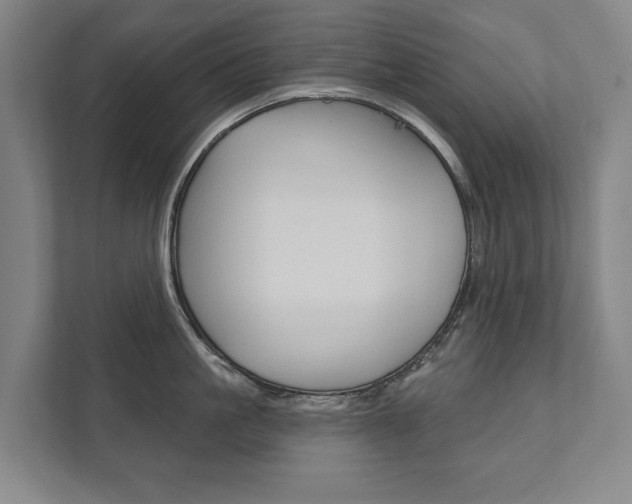 X0000111800861200907230954