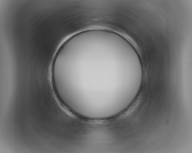 X0000111800862200907230954