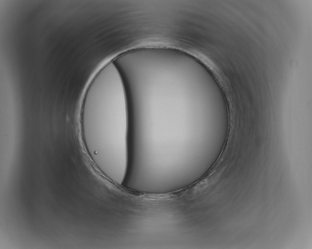 X0000111800864200907230954