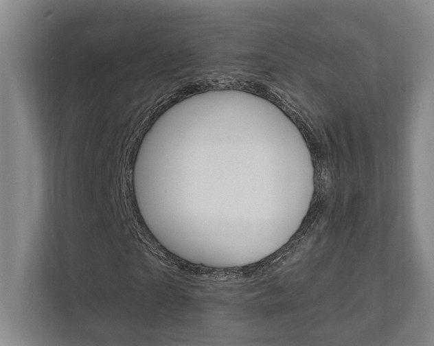 X0000111800865200907230953