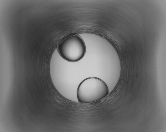 X0000111800868200907230953