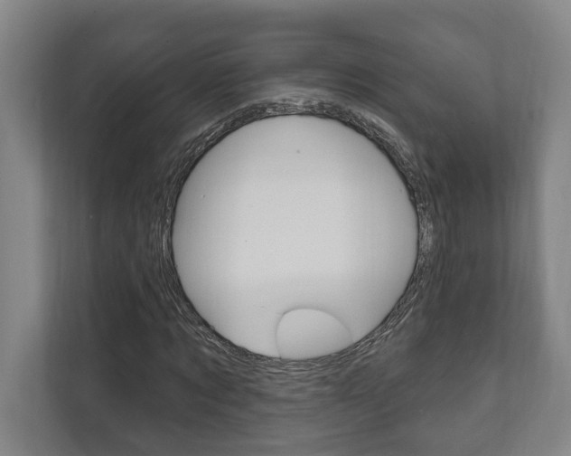 X0000111800869200907230953