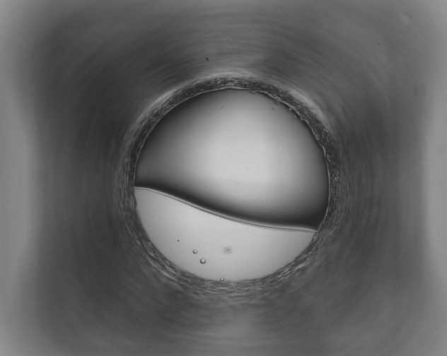X0000111800872200907230953