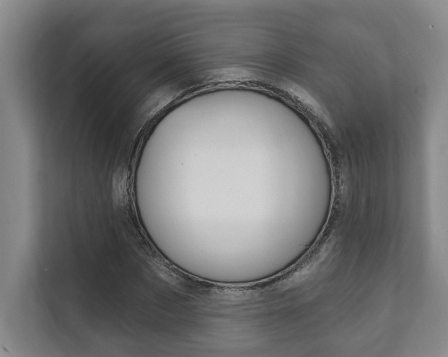 X0000111800873200907230953
