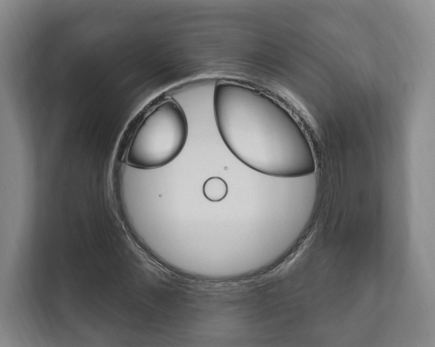 X0000111800876200907230953