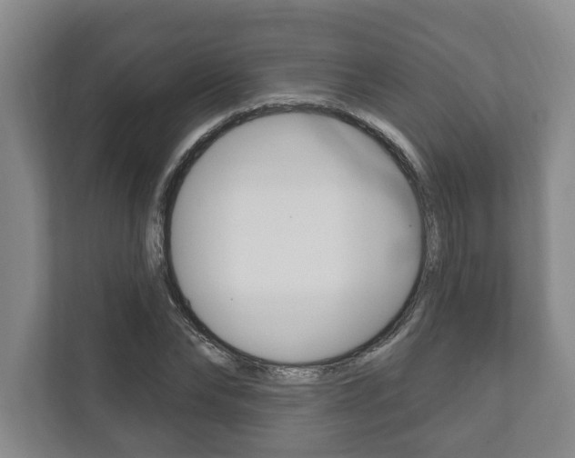 X0000111800878200907230953