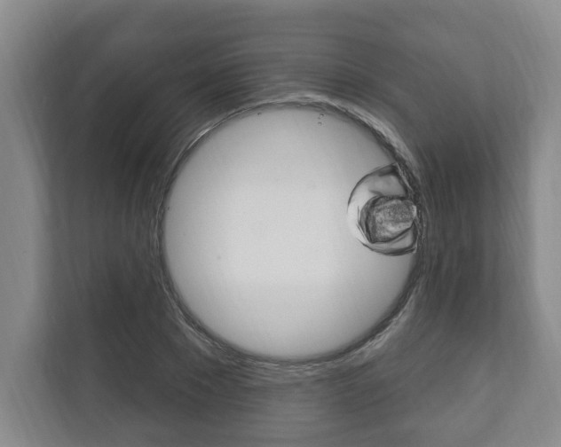 X0000111800881200907230953