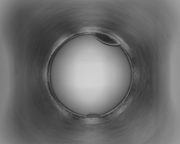 X0000111800893200907230952