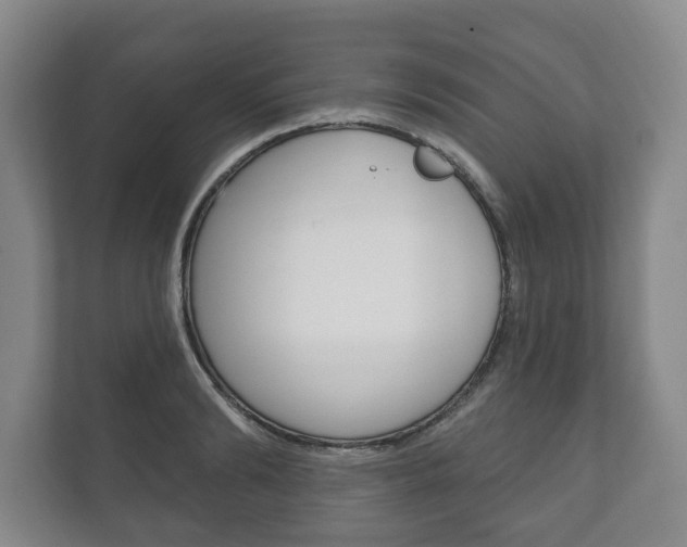 X0000111800894200907230952