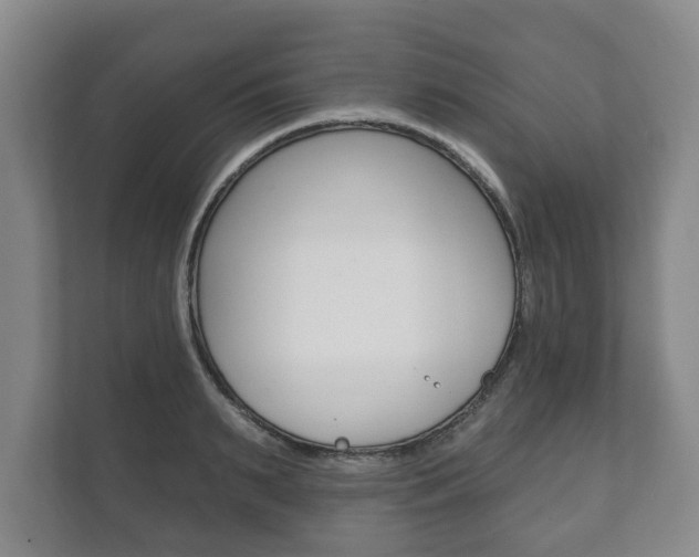 X0000111800895200907230952