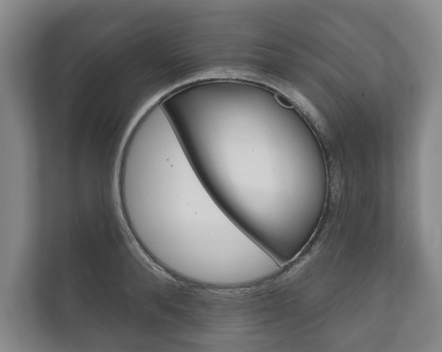 X0000111800896200907230952