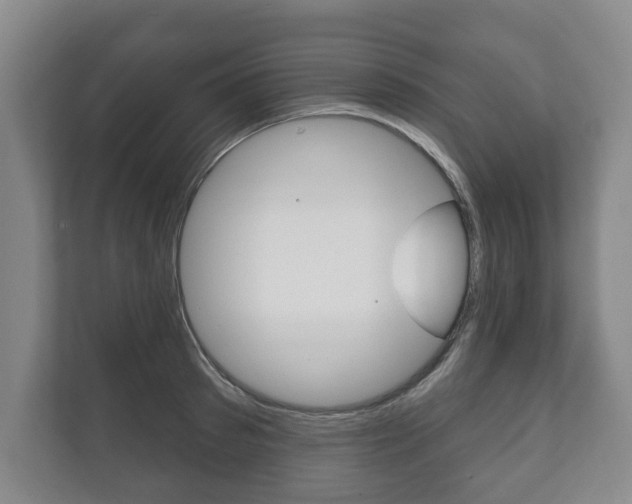 X0000111800897200907230952