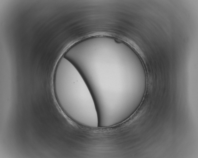 X0000111800898200907230952